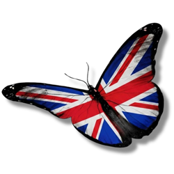 Switch Region (United Kingdom)